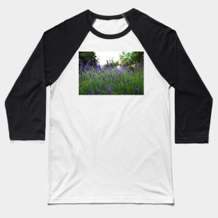 A field of fragrant lavender Baseball T-Shirt